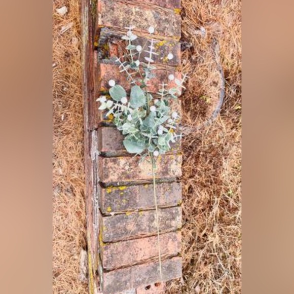 *Glitter Frosted Eucalyptus Spray, 24” - Picture 9 of 10